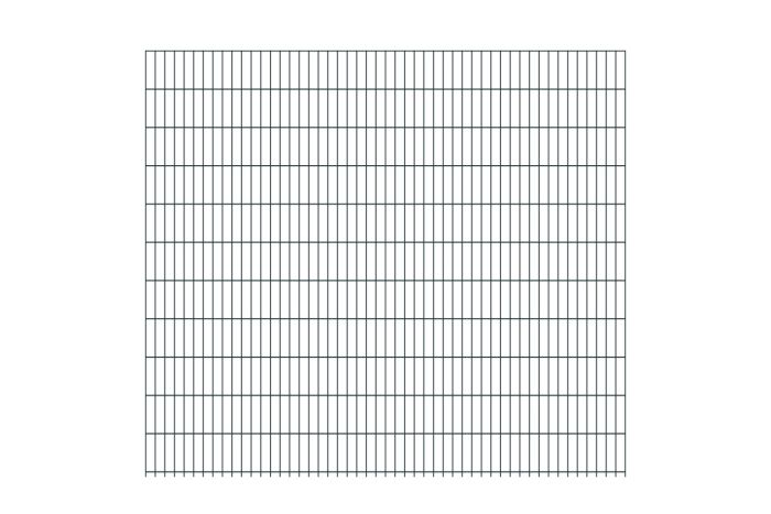 Doppelstabmattenzaun David 6/5/6 mm - Ausführung: anthrazit beschichtet, Höhe: 223 cm, Länge: 251 cm