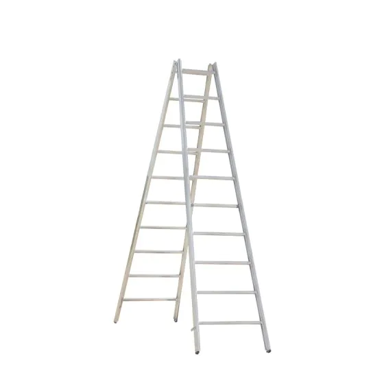 Alu-Sprossen Stehleiter Mod. 000 - Sprossenanzahl: 2 x 10, Länge: 2,90 m