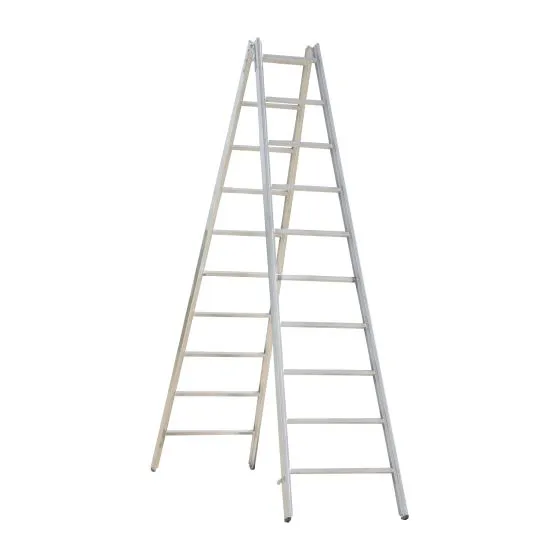 Alu-Sprossen Stehleiter Mod. 000 - Sprossenanzahl: 2 x 10, Länge: 2,90 m