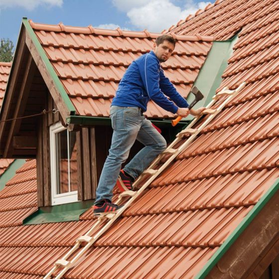 Holz Dachleiter - Sprossenzahl: 12, Länge: 3,35 m